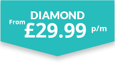Diamond Pack - Company Membership Packages